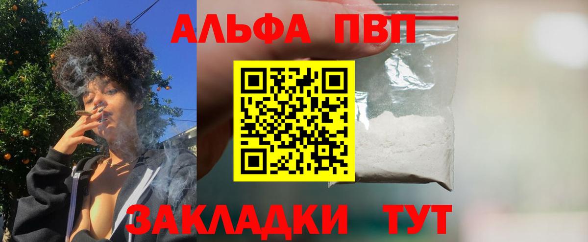 A PVP СК Арзамас