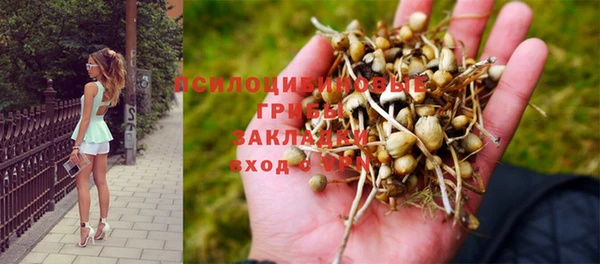 таблы Алексеевка