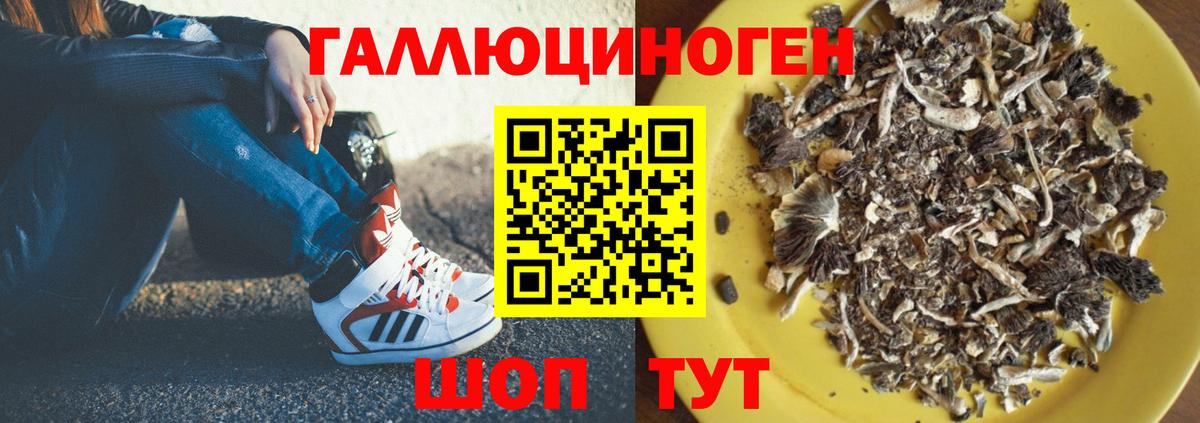 Арзамас  Галлюциногенные грибы GOLDEN TEACHER  Вход с VPN 